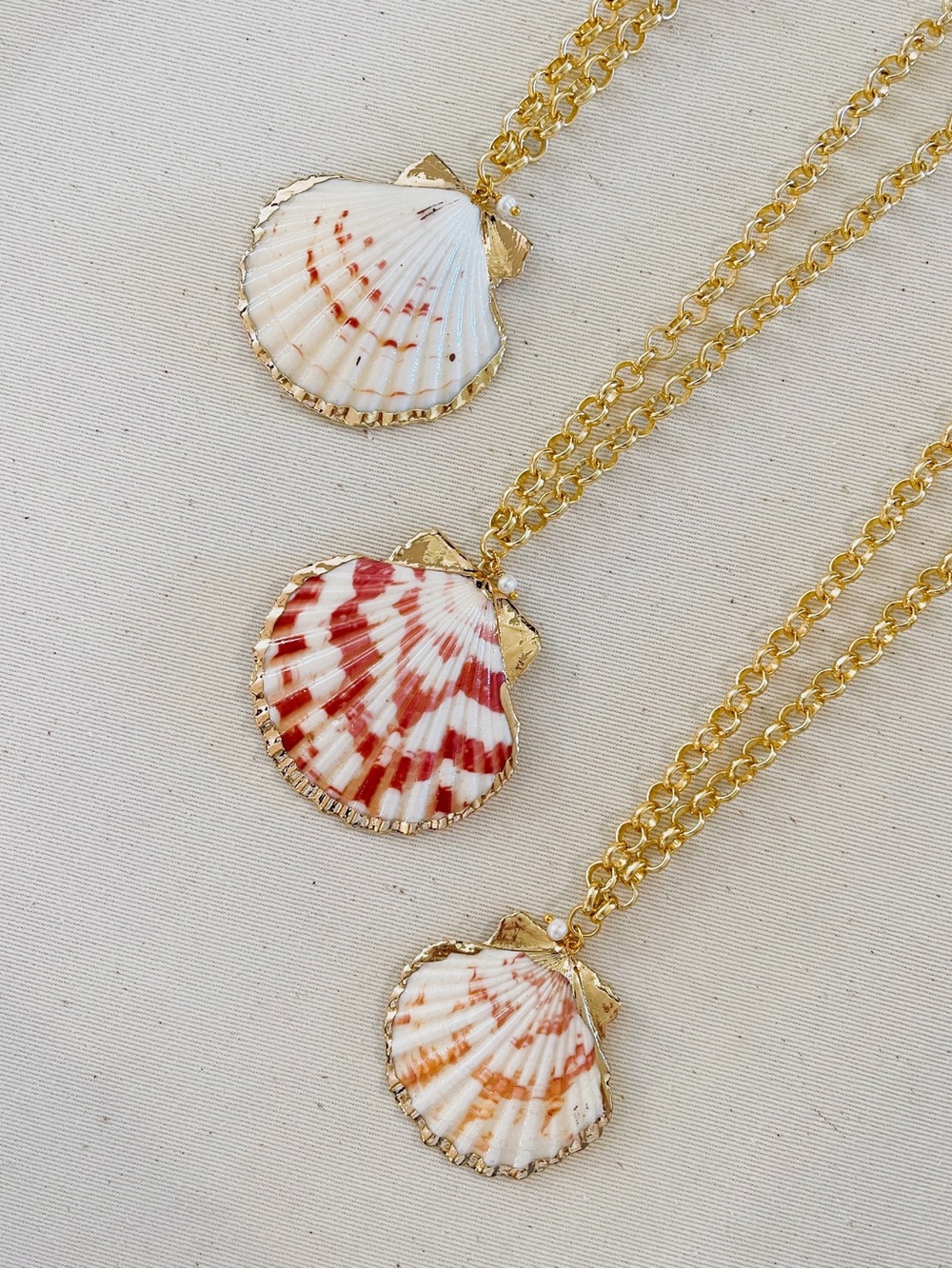 Summer Shell Necklace - Picture 4 of 4